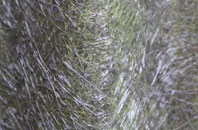 Tre Gynwr fibreglass roof work